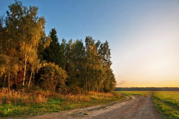 Road in sunset field — Stock Photo, Image