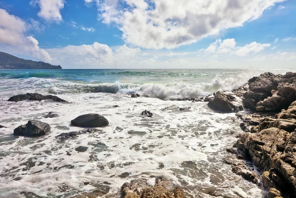 Exotisch tropisch strand. — Stockfoto