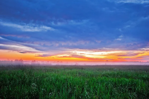 夏のフィールドで霧の夕日 — ストック写真