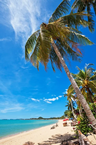 Spiaggia tropicale esotica. — Foto Stock