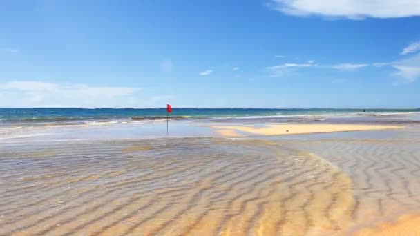 Mavi gökyüzünün altında tropikal plaj — Stok video