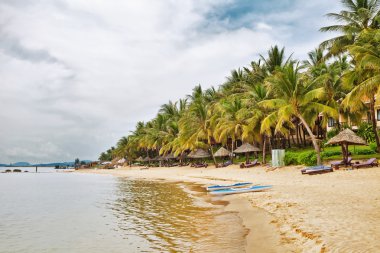 Egzotik tropikal plaj.