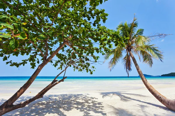 Spiaggia tropicale esotica. — Foto Stock