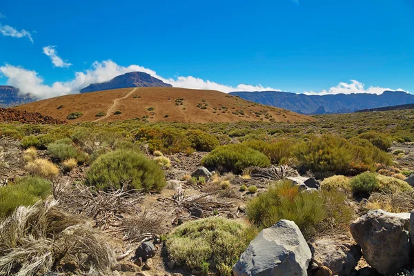 Paisagem de El Teide — Fotografia de Stock