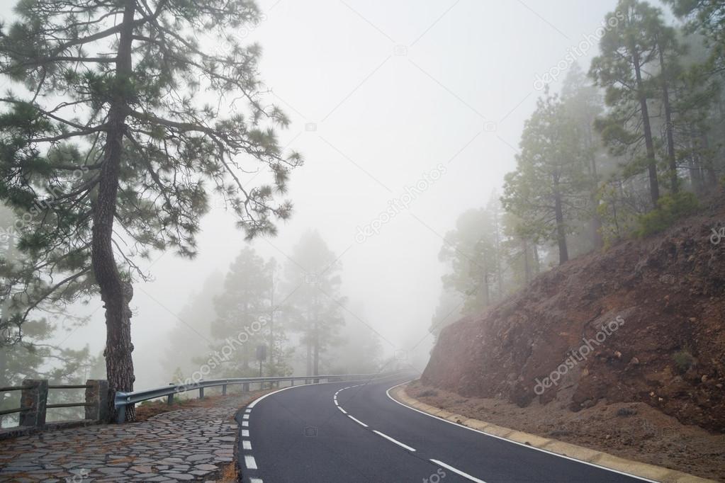 Mountain road in the fog