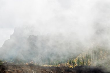 Bulutlar ve sis kaplı dağları ile manzara 