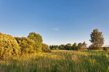 güneşli bir sonbahar gecesi alan