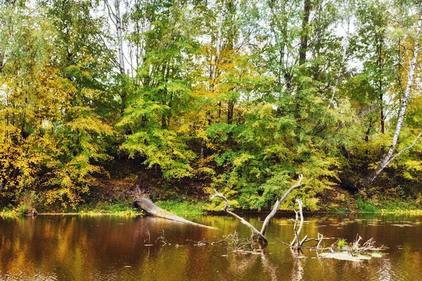 Осенний пейзаж реки — стоковое фото