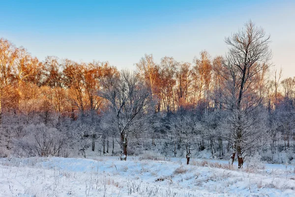 Güzel kış günbatımı — Stok fotoğraf