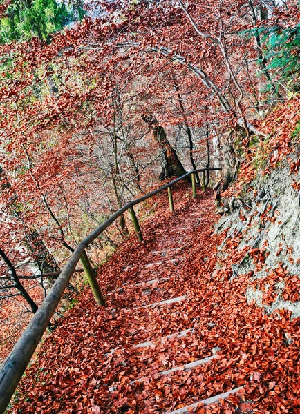 Escalier parsemé de feuilles rouges — Photo