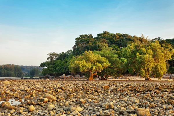 Stones beach in sunset light — Stock Photo, Image