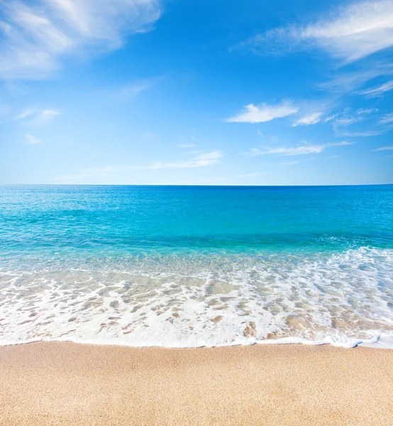 Spiaggia e mare tropicale — Foto Stock