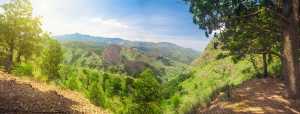 Camino a Ella Rock en Sri Lanka —  Fotos de Stock