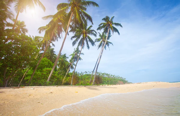 Piękna tropikalna plaża — Zdjęcie stockowe