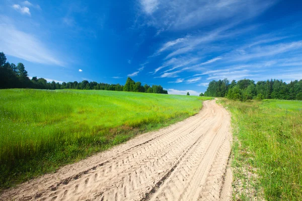 Beautiful green field and road — Stock Photo, Image