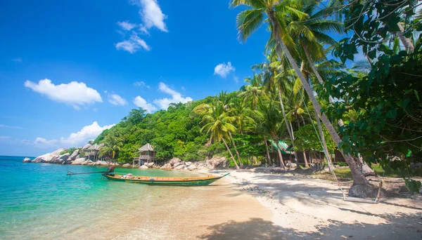 Tropical Beach Coconut Palm Longtail Boat — Stock Photo, Image