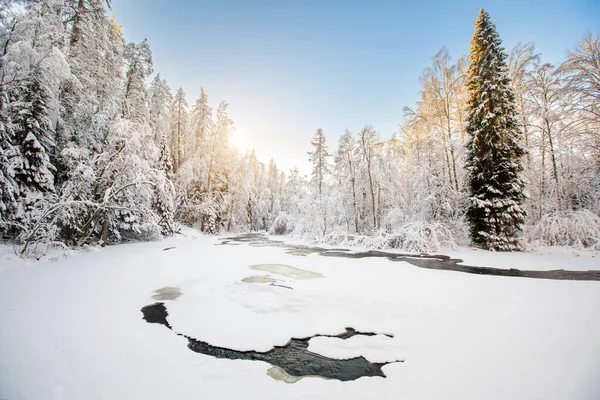 Vacker Vinter Flod Och Skog — Stockfoto