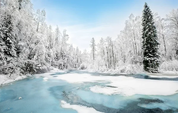 Krásná Zimní Řeka Les — Stock fotografie