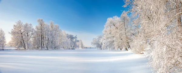 Панорама Красивого Зимнего Парка — стоковое фото