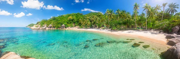 Panorama Tropical Beach Coconut Palm Tree — Stock Photo, Image