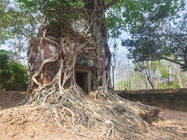 Prasat bram — Stockfoto