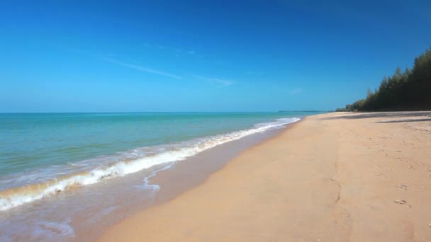 Vagues atterrissant sur la plage de sable — Video