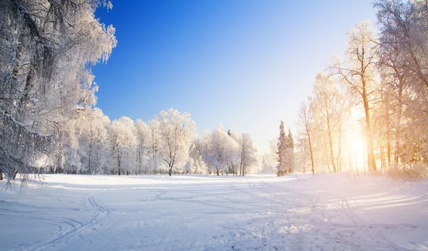 Puesta de sol invierno — Foto de Stock