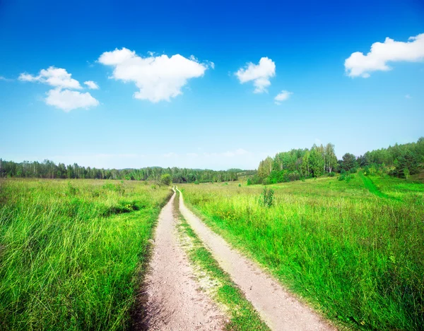 Vackert sommarlandskap — Stockfoto