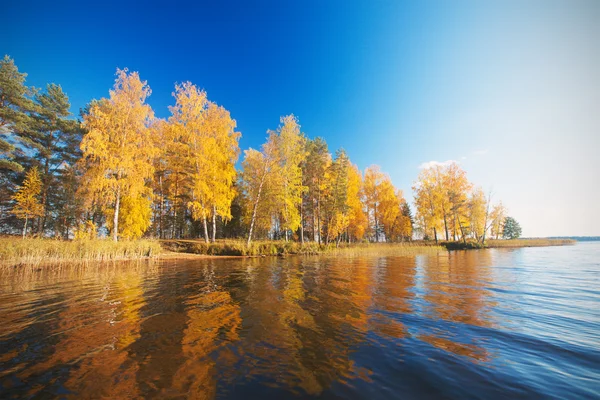 Autumn Trees and lake — Stock Photo, Image