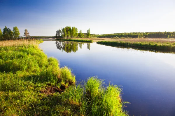 Jezero a letní pole — Stock fotografie