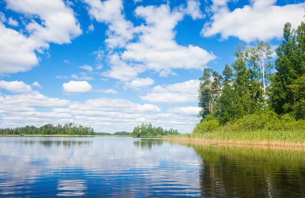 Lesní jezero a letní — Stock fotografie