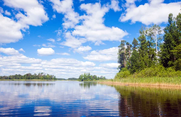 Lago y bosque de verano — Foto de Stock