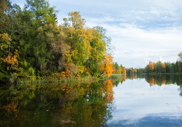 Autumn Trees and lake — Stock Photo, Image