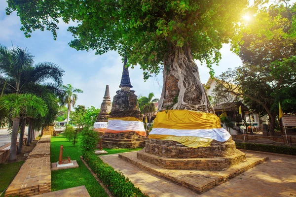 Árvores cobre pagodes antigos — Fotografia de Stock