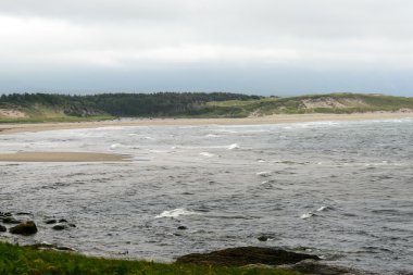 Gros Morne Park noktasında süpürge