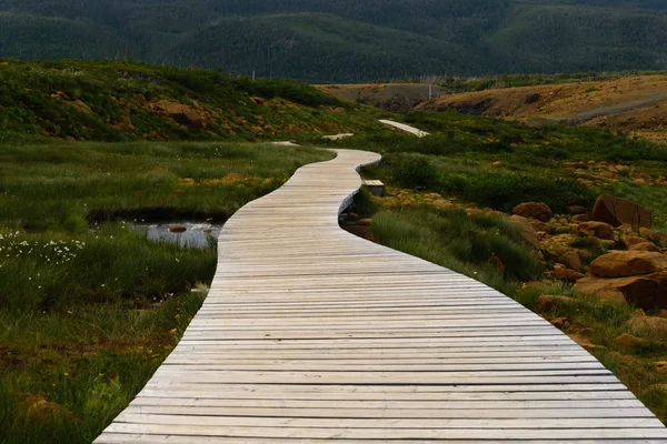 Dřevěný chodník v Gros Morne národní Park — Stock fotografie