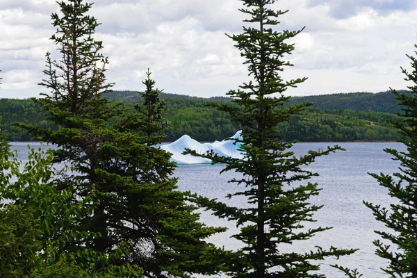 Melting iceberg near Newfoundland — Stock Photo, Image