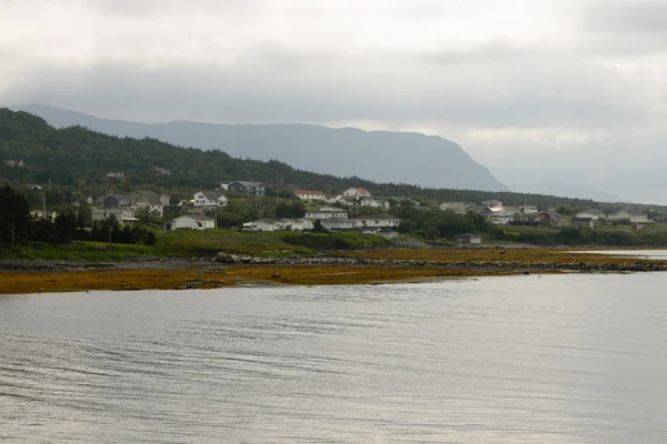 Huizen aan de rotsachtige kust, Newfoundland — Stockfoto