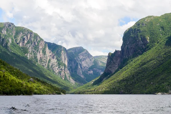 Westerse brook vijver, newfoundland, canada — Stockfoto