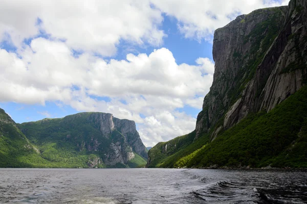 Westerse brook vijver, newfoundland, canada — Stockfoto