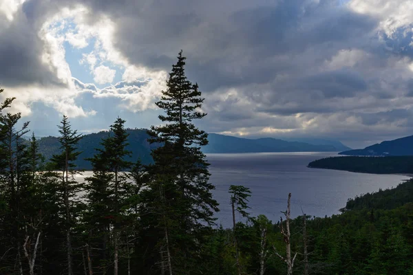 Étang Trout River à Terre-Neuve Photo De Stock