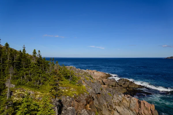 Fishermen village on coastline of Newfoundland Stock Photo