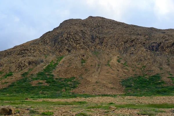 Płaskowyże i klify w Gros Morne Park Zdjęcia Stockowe bez tantiem