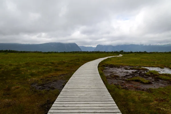 뉴펀들랜드, 캐나다에 있는 산책로 로열티 프리 스톡 이미지