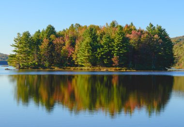 sonbahar orman ve göl