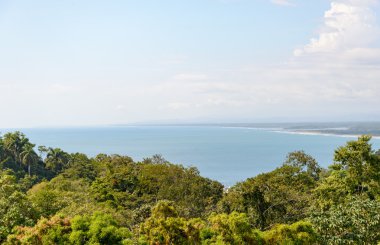 Kosta Rika 'da okyanus kıyısı