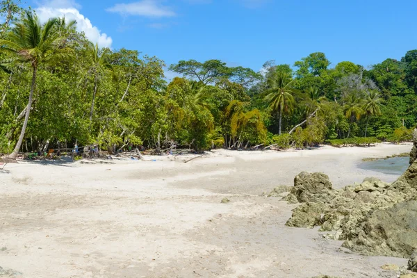 Costa Dell Oceano Costa Rica — Foto Stock