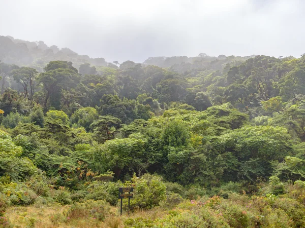 Costa Ricas Landschaft Sommer — Stockfoto