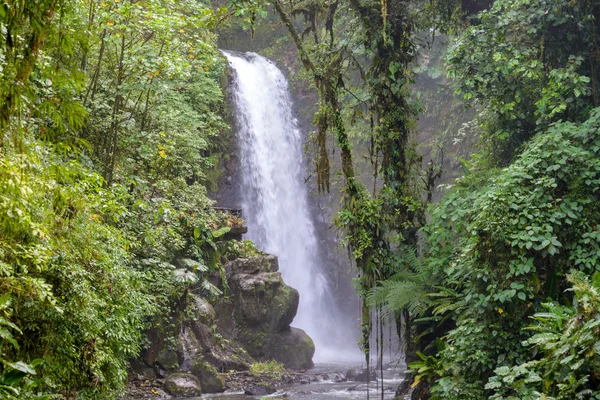 Vízesés Costa Ricában — Stock Fotó