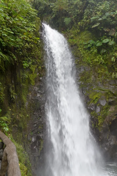 Cascada en Costa Rica —  Fotos de Stock